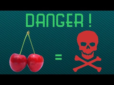 How Lethal Are Cherries ?