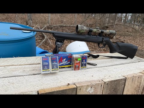 BEST .17 HMR AMMO TEST