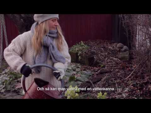 Vattenspartips; skaffa en regnvattentunna