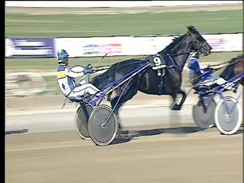 Trotto 13/10/2017 - 1ª corsa