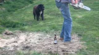 preview picture of video 'Stihl vs Beer'
