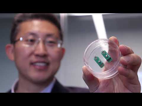 Yu Sun | 2019 New Fellow | University of Toronto