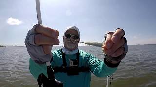 Speckled Trout and Redfish on a Weedless Spoon