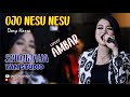 TERBARU VIRAL 2020 OJO NESU NESU SAYANGKU COVER AMBAR SRIWIJAYA YAM STUDIO