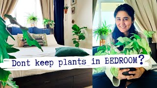 Don’t keep indoor plants in bedroom? Buy plants that give out oxygen at night?