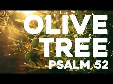 Olive Tree (R&B / Gospel Fusion) - Psalm 52 - Christian Song