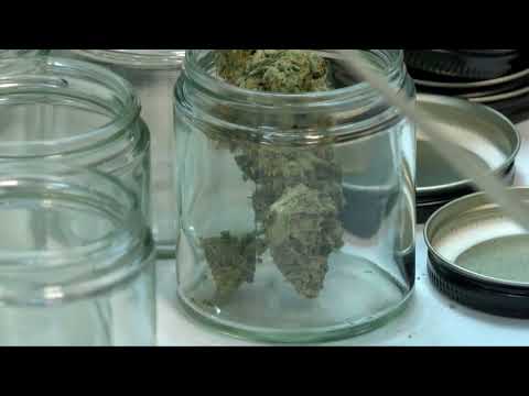 Marijuana Legalization