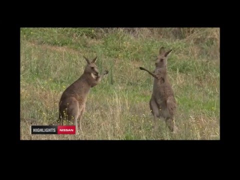 12h Bathurst 2016 Crash, Spins and some Highlights