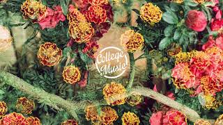 Download lagu Alina Baraz & Galimatias - Fantasy mp3