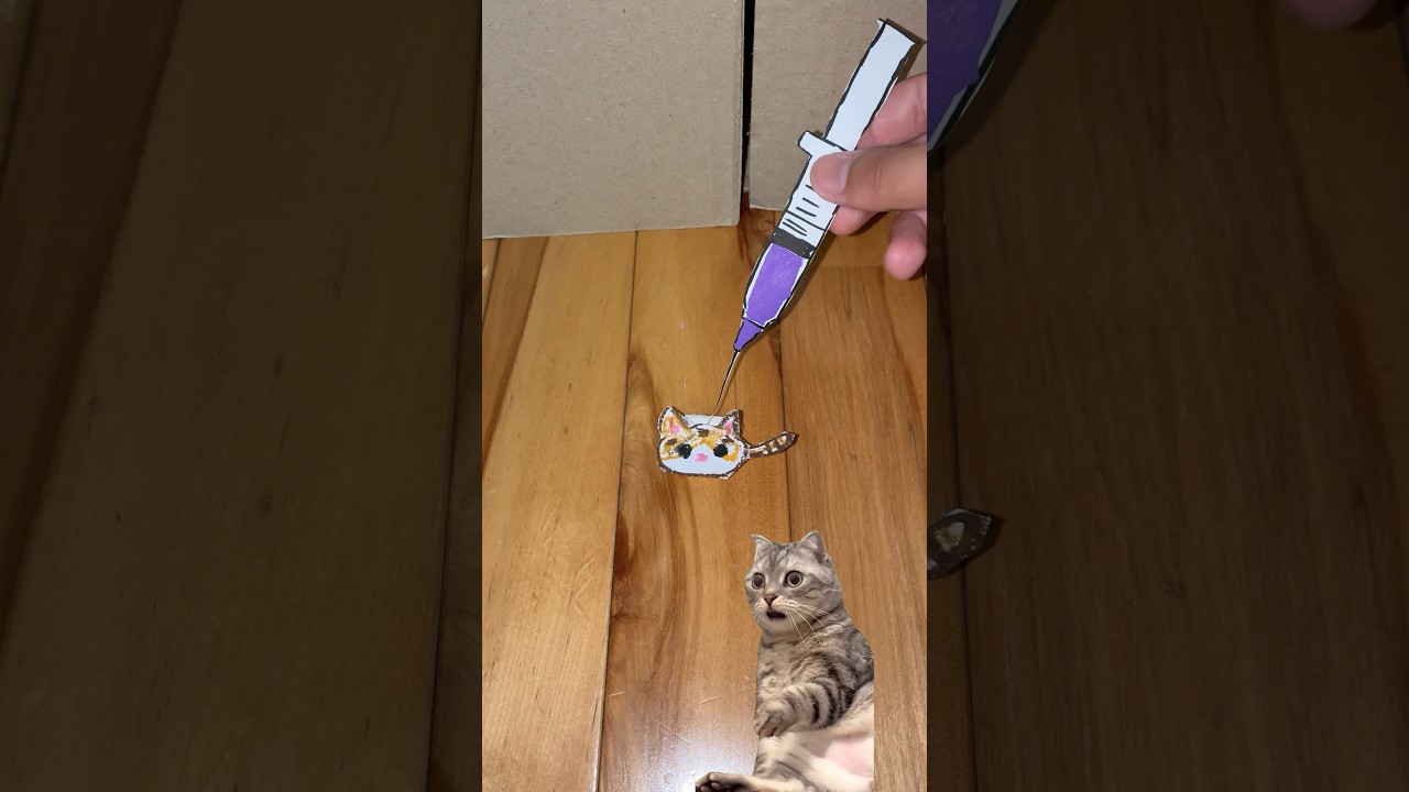 猫を強制成長させる方法