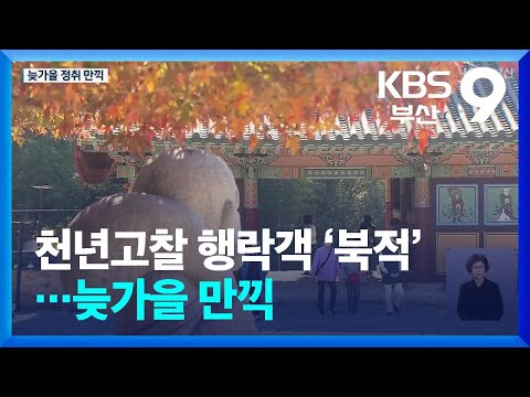 천년고찰 행락객 ‘북적’…늦가을 만끽 / KBS