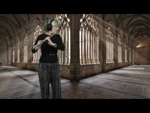 Alessandro Marcello - Adagio from Oboe Concerto in D minor