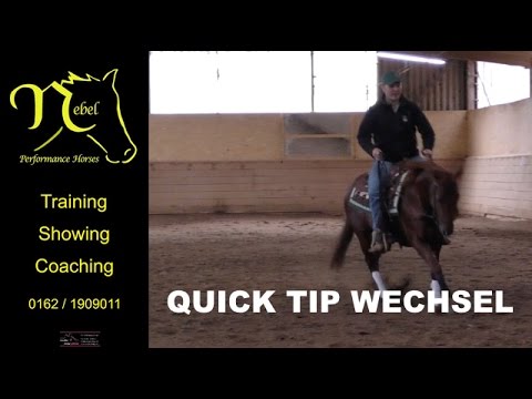 Quick Tip: Galoppwechsel - von Lars Nebel - Nebel Performance Horses