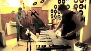 Vibraphone solo - Was Too Young To Pass Away