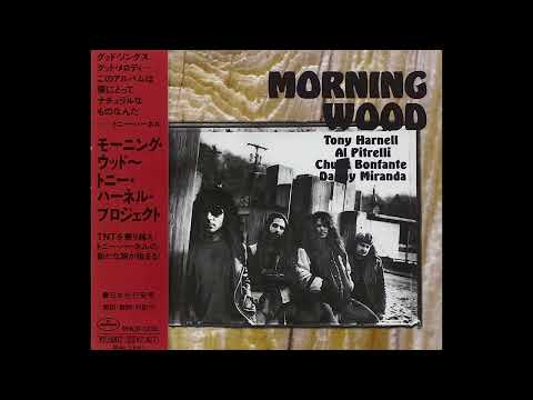 One of These Nights - Tony Harnell and Morning Wood