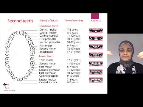 Interceptive Orthodontics Keys - Part 1/3 - Dental Age
