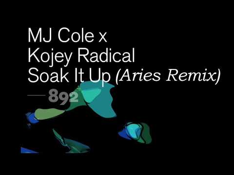 MJ Cole x Kojey Radical - Soak It Up - (Aries Remix)