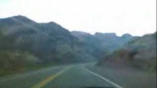 Camera Obscura - Razzle Dazzle Rose