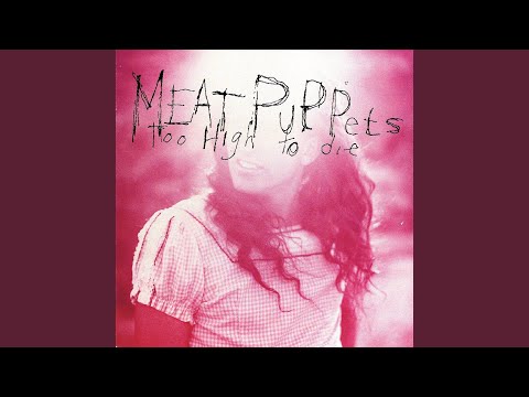 Station - Meat Puppets