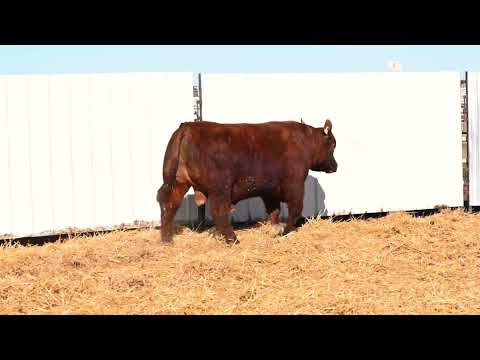 Listing 51768518460-video