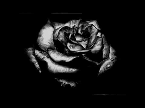 Los Daddy's - Si No Es Ahora (Cumbia Timbiriche)  *Alta Calidad*