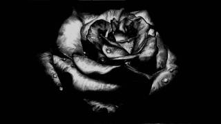 Los Daddy's - Si No Es Ahora (Cumbia Timbiriche)  *Alta Calidad*