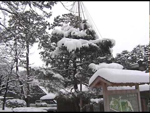 2005.02.11 關西北陸自助旅行 金澤 金澤城 兼六園