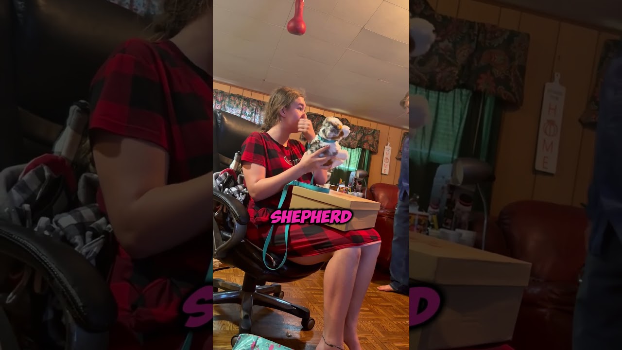 Plush dog instead of a real one 🥺 #shorts