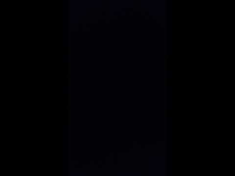 Liam Shelton X Callymansam