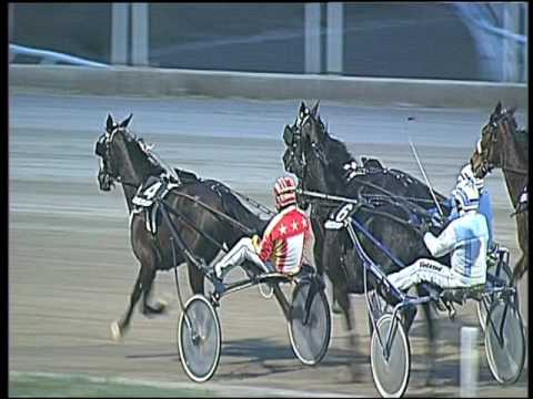 Trotto 24/01/2017 - 4ª corsa