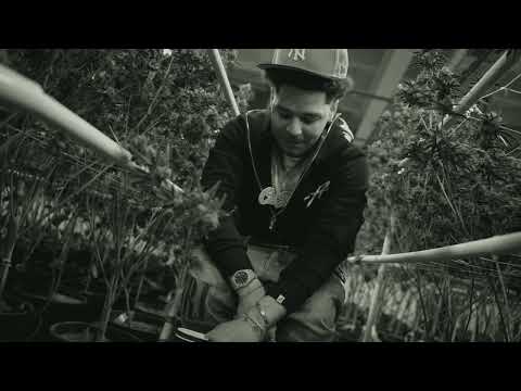 MoneyBagz Buzz - Dropping Jewels (Official Music Video)