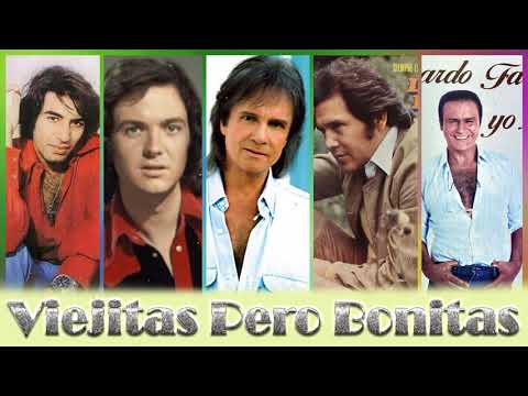 PALITO ORTEGA, SANDRO, LEO DAN, LEONARDO FAVIO EXITOS Sus Mejores Canciones