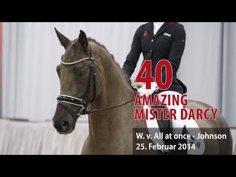 40 Amazing Mister Darcy Wallach v. All at Once - Johnson