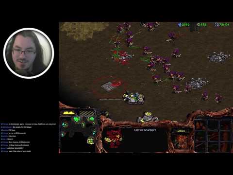 SCBW: Alliances 02 - Steal That Idea