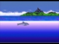 Ecco the dolphin medusa bay music № 2 