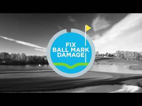 Pitchfix Fusion 2.5 pin