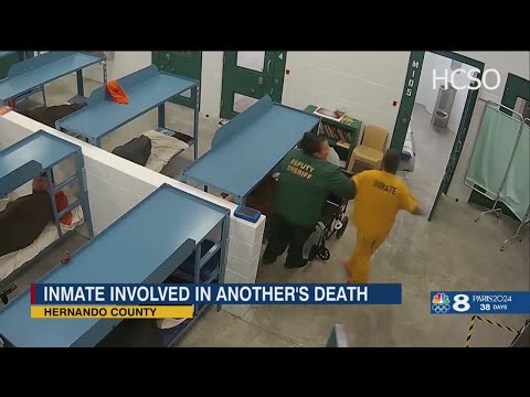 Hernando Inmate Search