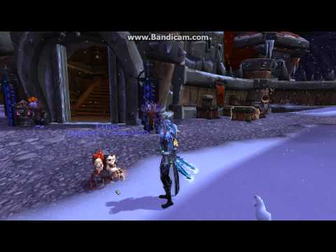 image-Can you still get Graves pet?