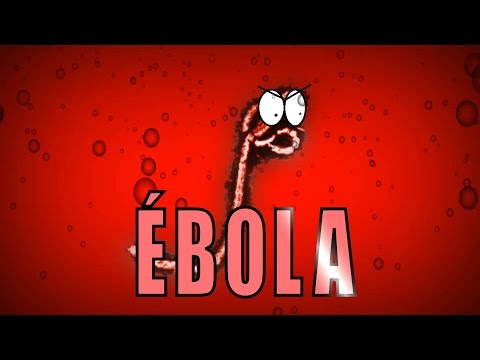 AiBifu’s Video 139512479377 qlnsHiaAoYo