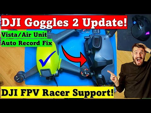 DJI Goggles 2 FPV Drone support | Vista fix! Dronehacks still works!