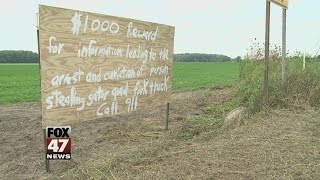 Teens May be Behind String of Break-ins, Vandalism