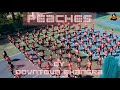 PEACHES | DownTown Bhangra | Diljit Dosanjh | Peaches Bhangra| Bhangra Cover Punjabi Songs Dance