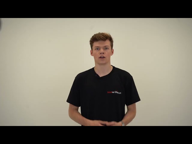 Vorschaubild des Videos