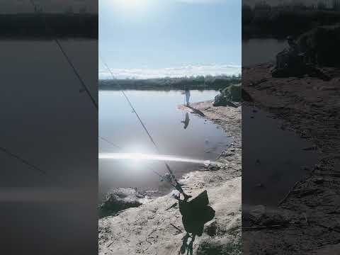 buscando el pique en la laguna Soria. Lavalle Mendoza