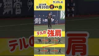 【圧倒的な地肩】佐藤輝明選手 難しい体勢からのジャンピングスロー（2026年8月20日 阪神ーヤクルト） #サンテレビボックス席