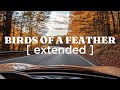 Billie Eilish Birds Of A Feather Extended