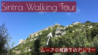 【シントラ山歩き】世界遺産の街・シントラのハイキングコースを歩いた