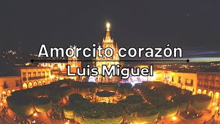 Amorcito corazón - Luis Miguel (Letra / Lyric Video)