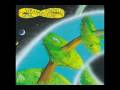 Ozric Tentacles _ Space Between Your Ears