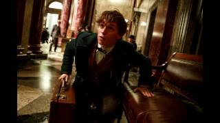 Fantastic Beasts Kowalski Rag